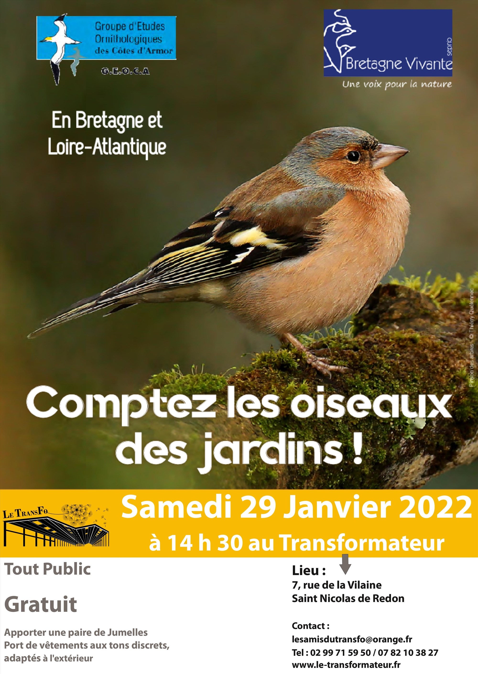 Comptage Des Oiseaux Des Jardins Au Transformateur Loire Atlantique