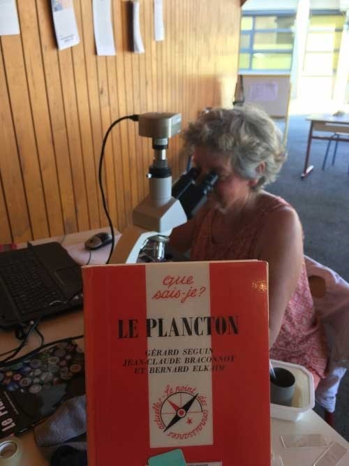 Atelier Plancton Parents Enfants D S Ans Loire Atlantique