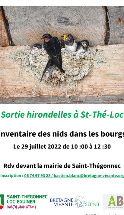 Inventaire des nids dhirondelles à Saint Thégonnec Loc Eguiner avec