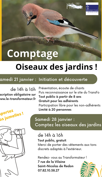 Comptage Des Oiseaux Des Jardins Journ E D Initiation Au Transfo