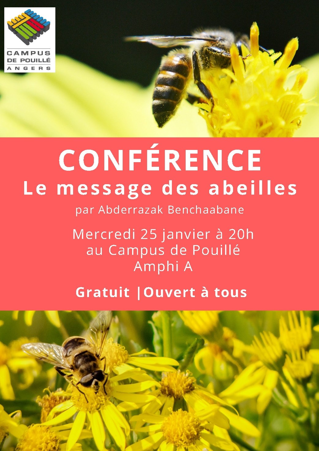 Conf Rence Sur L Cologie Le Message Des Abeilles