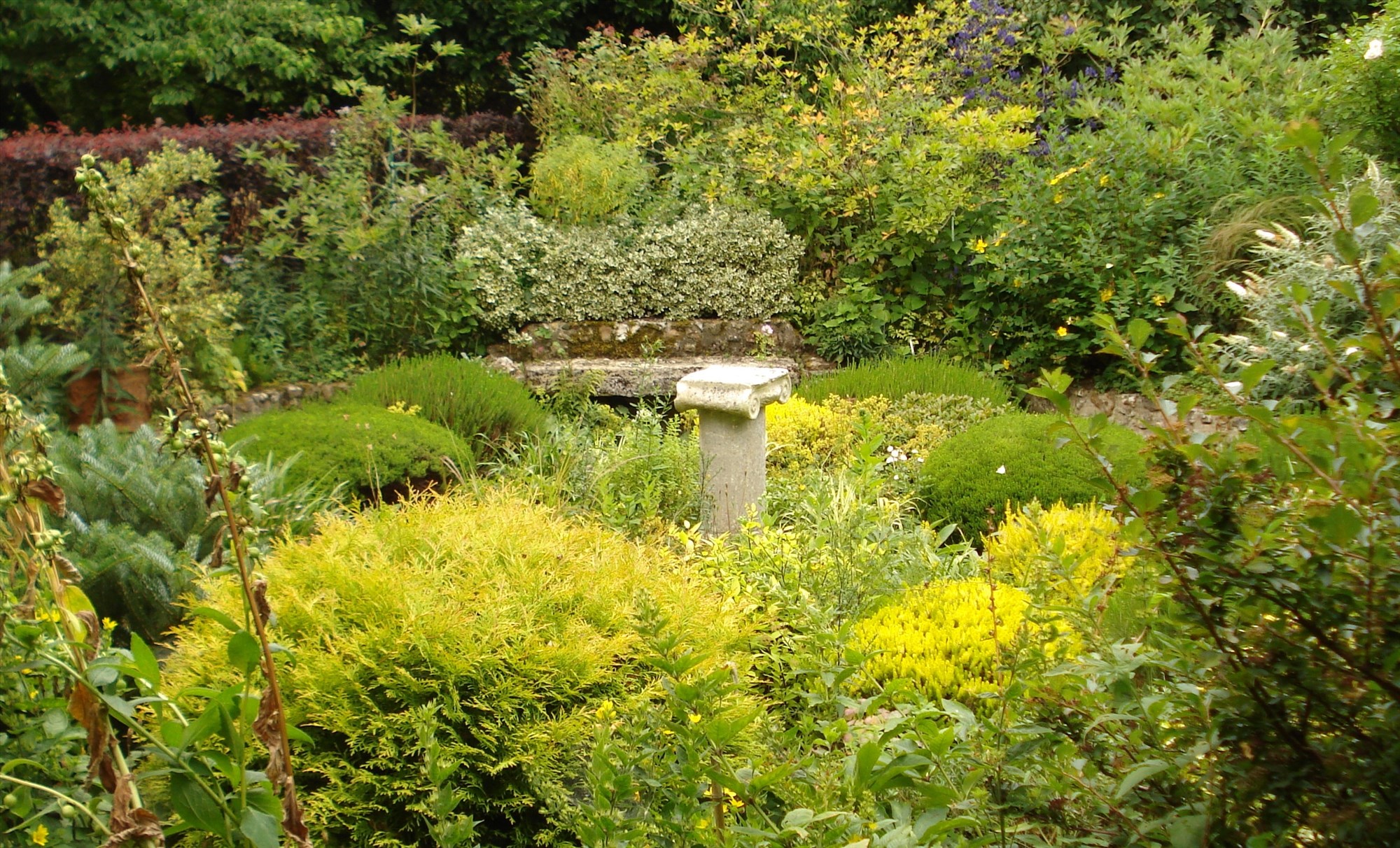 Op Ration Jardin Ouvert Pour Le Neurodon