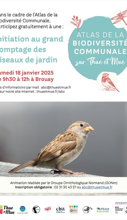 Initiation Au Grand Comptage Des Oiseaux De Jardin