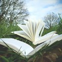 Balade nature et lecture