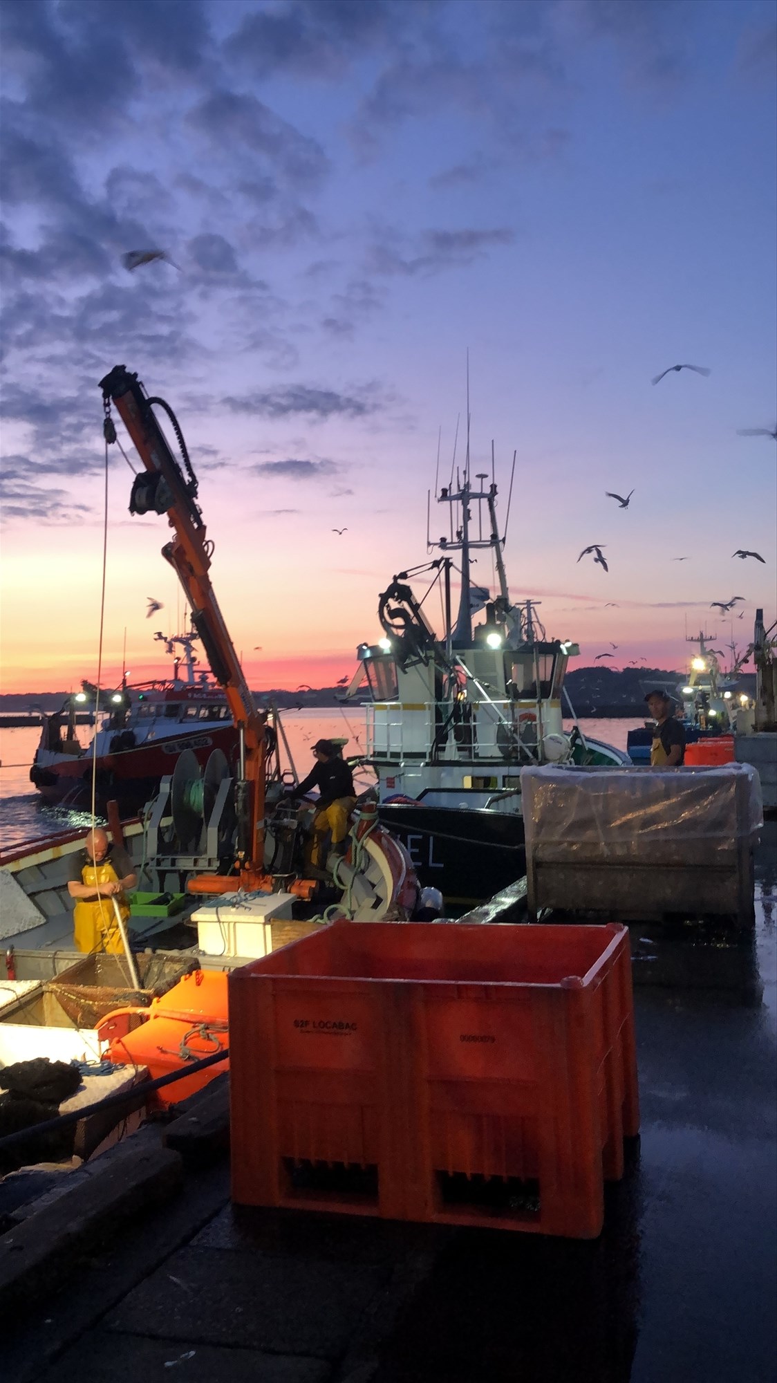 Visite guidée du port de pêche - Infolocale