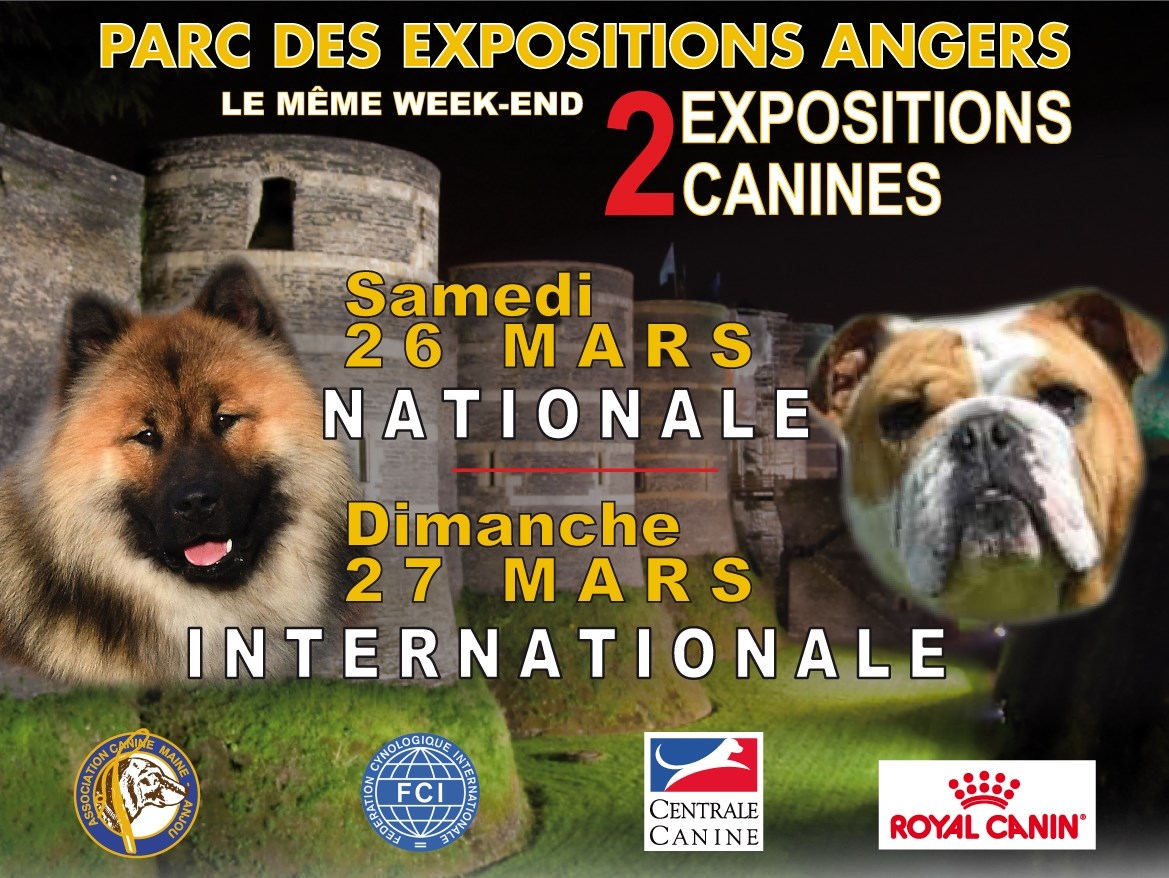 Exposition canine nationale et internationale