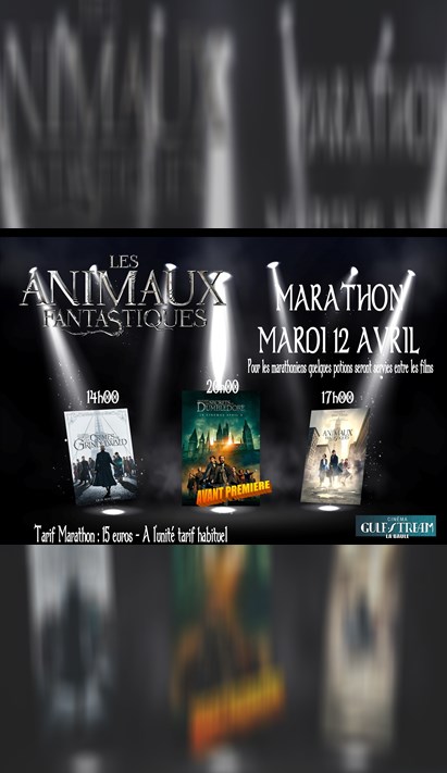 Marathon « Les animaux fantastiques »