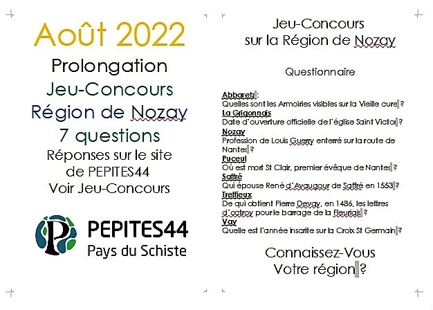 Jeu concours de PEPITES44 © Didier Teffo