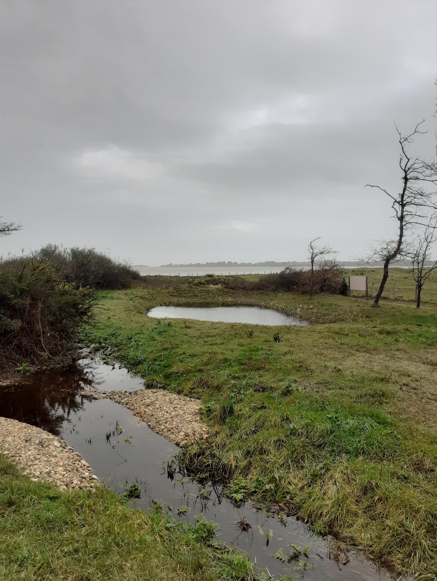 © CPIE Loire Océane