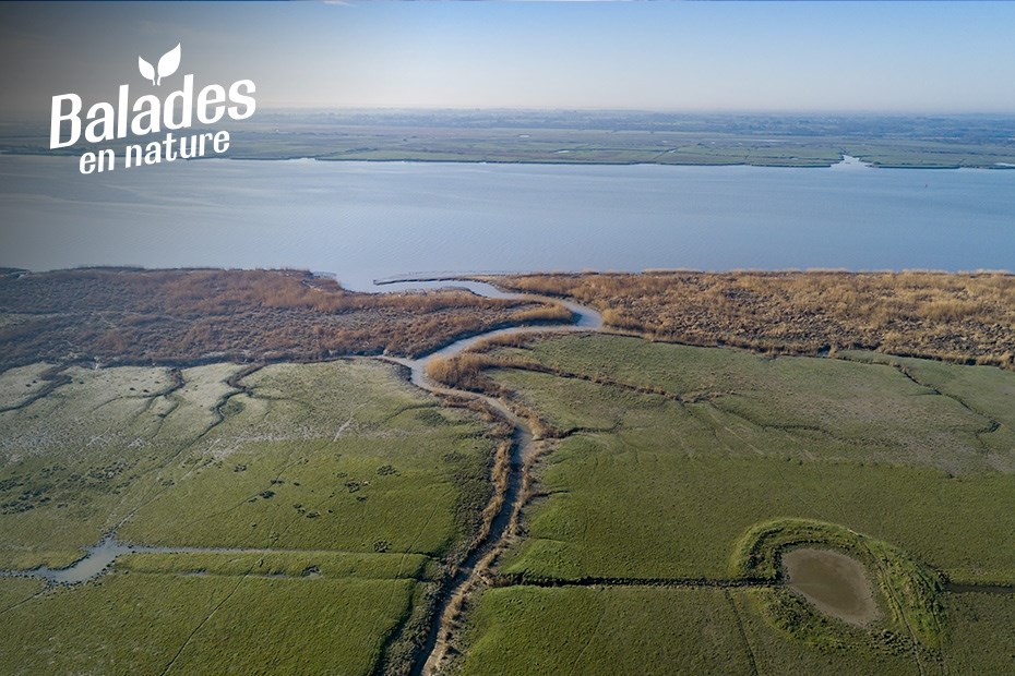 Paul Pascal / Département de Loire-Atlantique