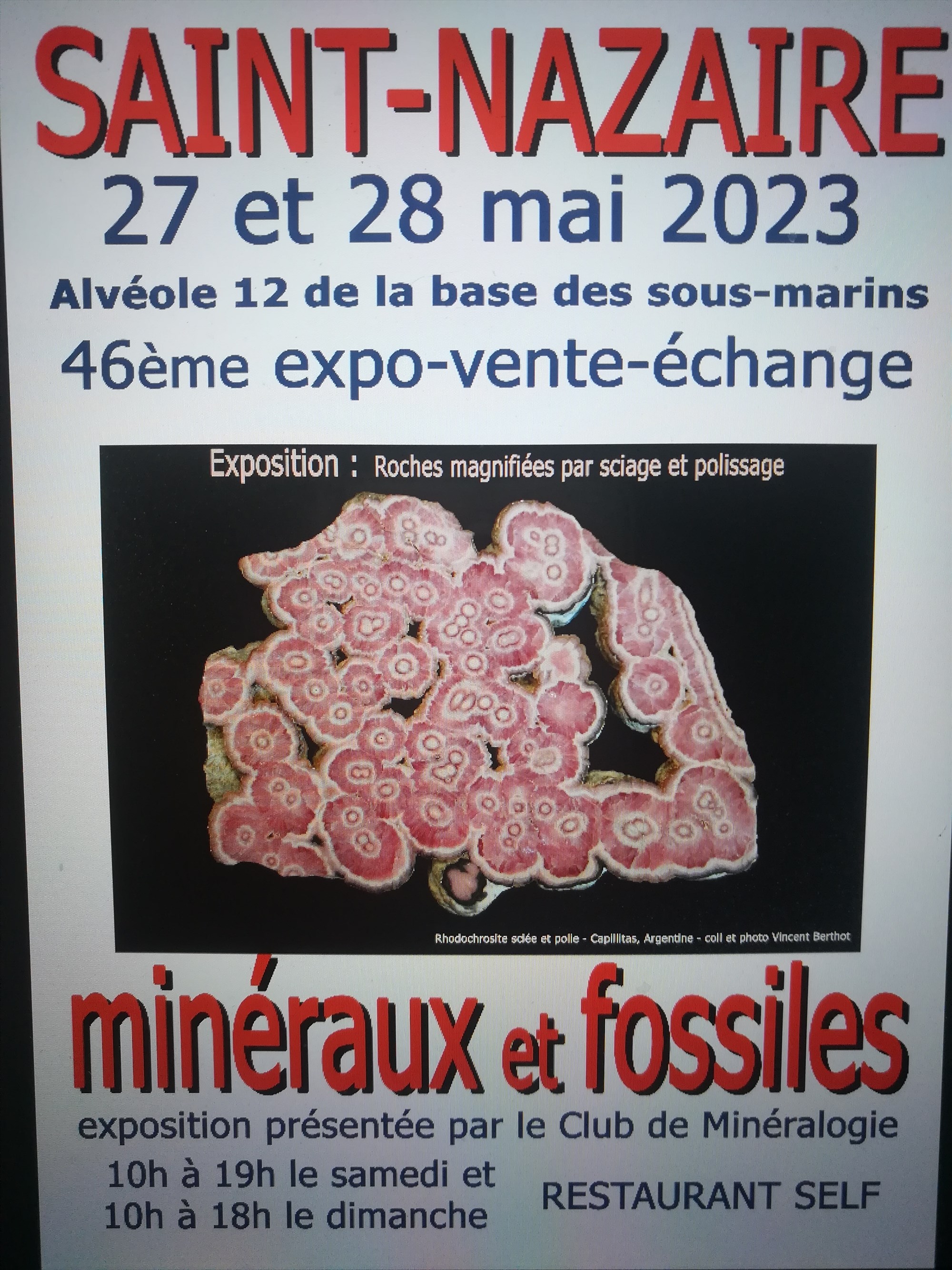 46 ème exposition vente minéraux et fossiles