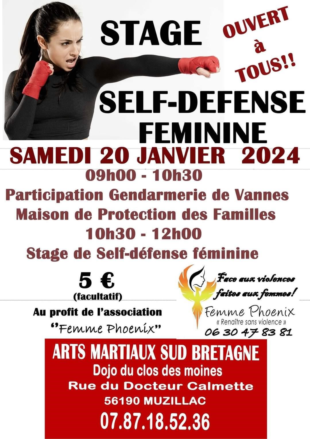 La self défense féminine à Rennes ( Training)