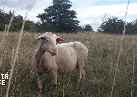 Larzac !