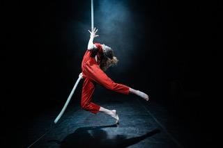 V - Viivi Roiha