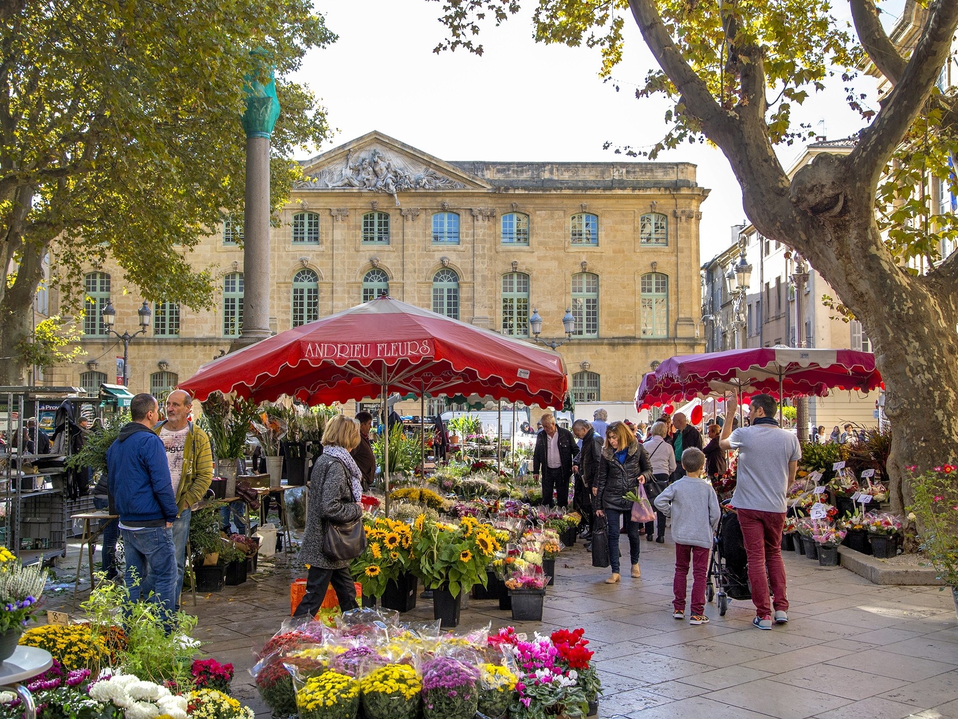 Le March Aux Fleurs D Aix En Provence Infolocale    3 