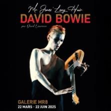 David Bowie en concert