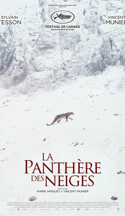 Mois Du Film Documentaire La Panth Re Des Neiges De Marie Amiguet Crit Par Vincent Munier