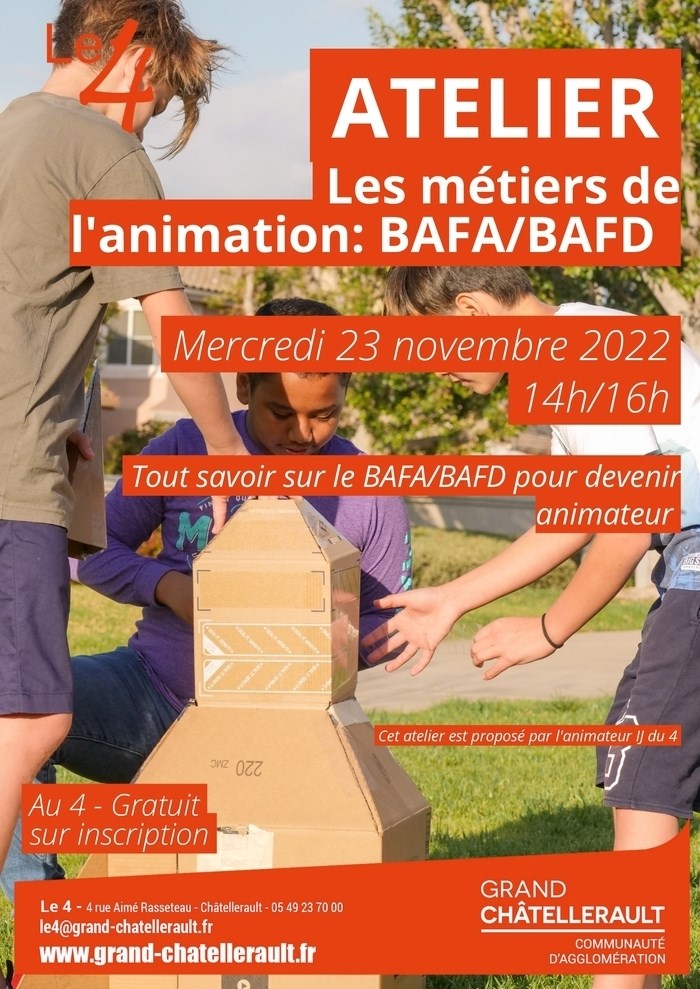 Les Métiers De L'animation: BAFA/BAFD