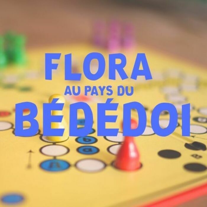 Jeu B.D. Flora Au Pays Du Bédédoi