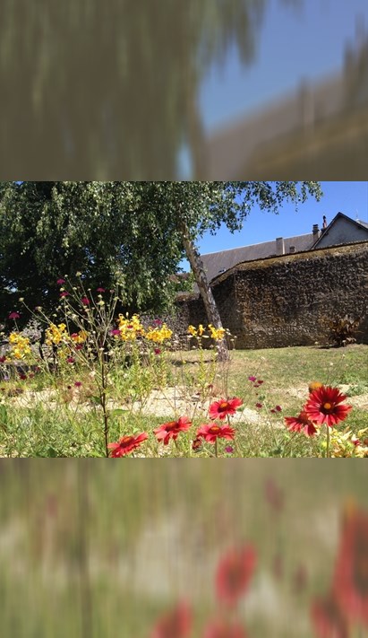 Visites Guid Es Du Jardin D Inspiration M Di Vale Et Du Jardin Des Couleurs