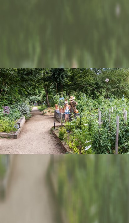 Comprendre La Permaculture Pour Cultiver Son Jardin