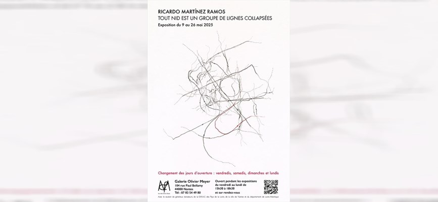 Exposition – Tout nid est un groupe de lignes collapsées, de Ricardo Martinez Ramos