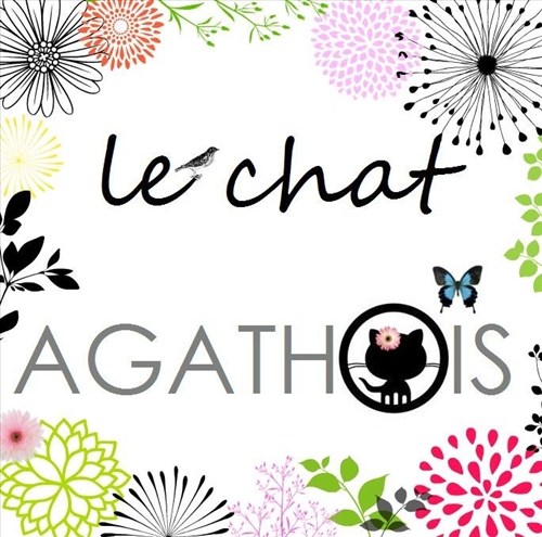 Chat Agathois Infolocale