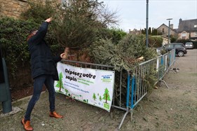 Opération de broyage : sapin malin