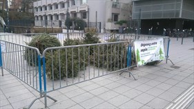 Opération de broyage : sapin malin Opération de broyage : sapin malin