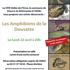 Les Amphibiens de la Douvette ©