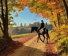 Randonnée à cheval ©Istock