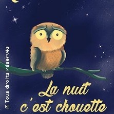 La Nuit C'est Chouette ©Fnac Spectacles