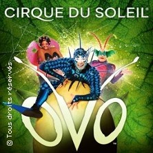 Cirque du Soleil - Ovo (Floirac) ©Fnac Spectacles