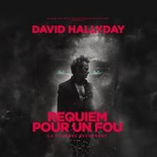 David Hallyday - Requiem pour un Fou - Tournée ©Fnac Spectacles