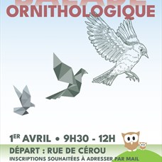 Balade ornithologique - Samedi 1er avril ©