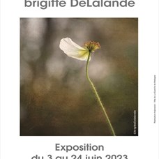Vernissage de l'exposition de Brigitte DeLalande ©©brigittedelalande