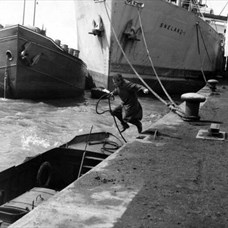 Les mouettes meurent au port ©Rik Kuypers, Ivo Michiels et Roland Verhavert, Les Mouettes meurent au port, 1955 © Eyeworks Film