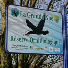 VAL-DE-REUIL (27) - Réserve ornithologique de la Grande Noë : Les premiers départs en hivernage ©