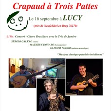 Concert : Choro Brasiliero avec le trio de Janéro ©le Crapaud à Trois Pattes