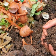 En savoir plus sur le compost - SEVRES ©