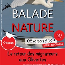 Le retour des migrateurs aux Olivettes ©Conception : CPIE Boucles de la Marne - Photographie : Nicolas Boudereaux
