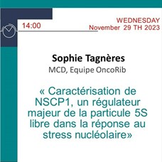 Sophie Tagnères (MCD, Equipe OncoRib) - Caractérisation de NSCP1, un régulateur majeur de la particule 5S libre dans la réponse au stress nucléolaire ©