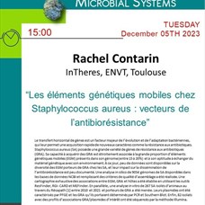 Rachel Contarin (InTheres, ENVT, Toulouse) - Les éléments génétiques mobiles chez Staphylococcus aureus : vecteurs de l’antibiorésistance ©