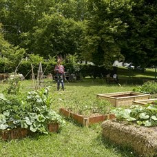 Atelier jardiner avec ses végétaux ©