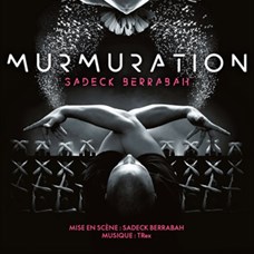 MURMURATION - SADECK BERRABAH ©